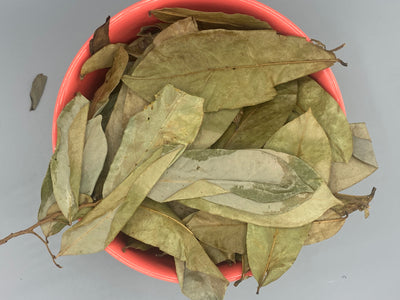 SOURSOP LEAVES