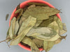 SOURSOP LEAVES