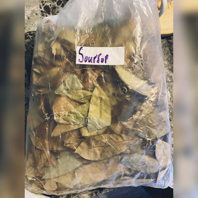 SOURSOP LEAVES